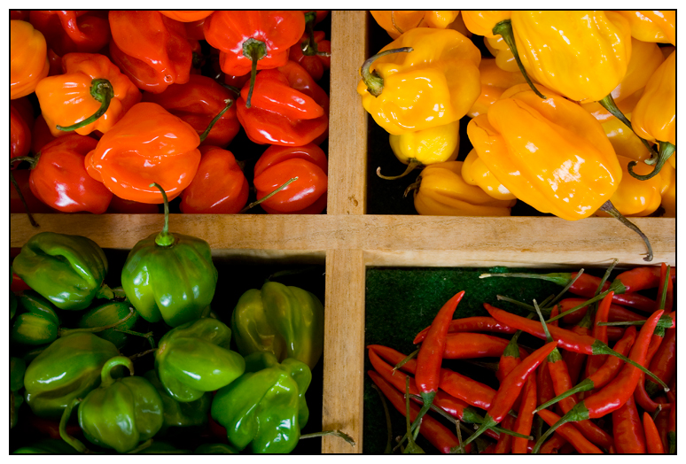Paprika